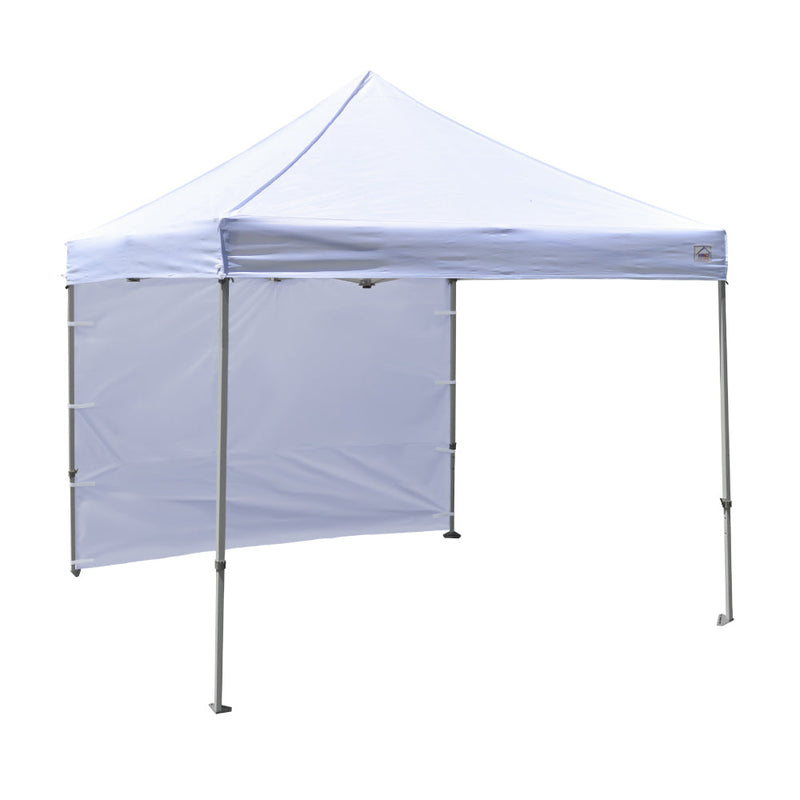 10x10 DS Canopy