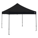 10x10 DS Canopy