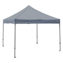 10x10 DS Canopy