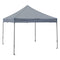 10x10 DS Canopy